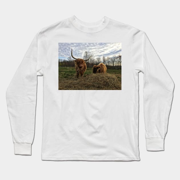Scottish Highland Cattle Cow and Calf 1574 Long Sleeve T-Shirt by SaarelaHighland